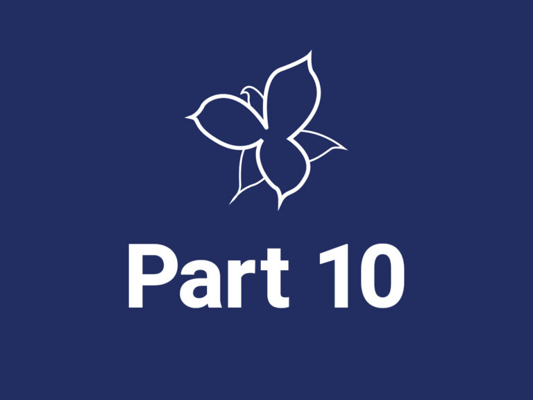 Part 10: Audio Guides and Museums