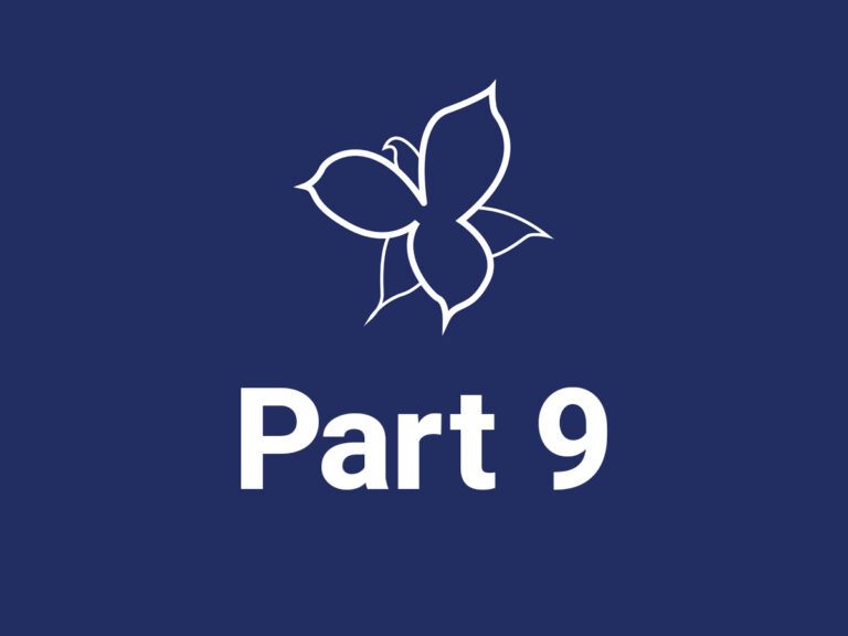 Part 9: Bringing Art Alive for Blind Patrons