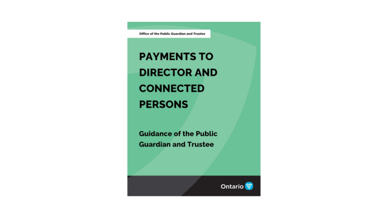 Capacity Building 1-1 Payments to Director Image